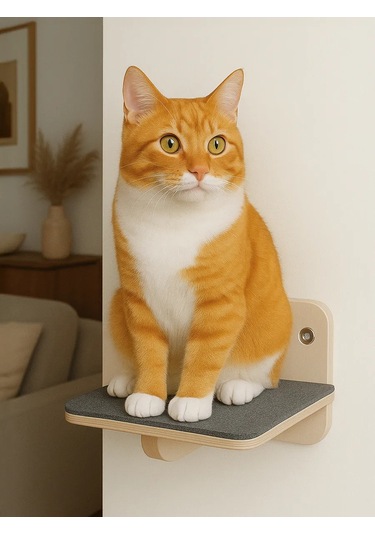 Go Cats Kedi Tüyü Döşemeli Duvar Rafı 430861489