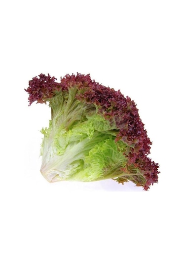 AGRodal Tarım Ata Tohumu Yerli Kırmızı Marul 1000 Adet Tohum