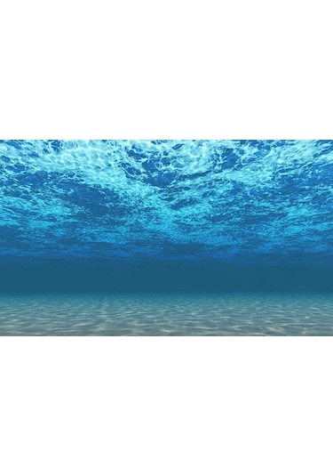 Kanki Pet KP1055208 Akvaryum Arka Fon Yapıştırma 105 CM