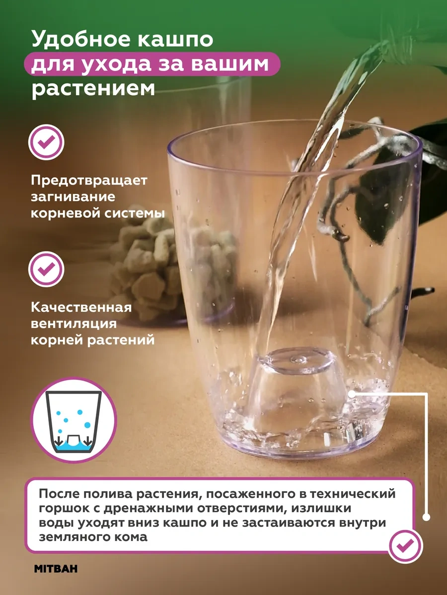 Mıtbah Şeffaf Saksı, Orkide Saksısı 162371065