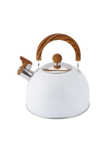 Hangfox 2.5 Litre Çelik Çalıcı Kettle: Kalın Tabaka, Gaz Ve Indüksiyon Uyumlu, Evde Pratik Su Kaynatma Aleti Beyaz