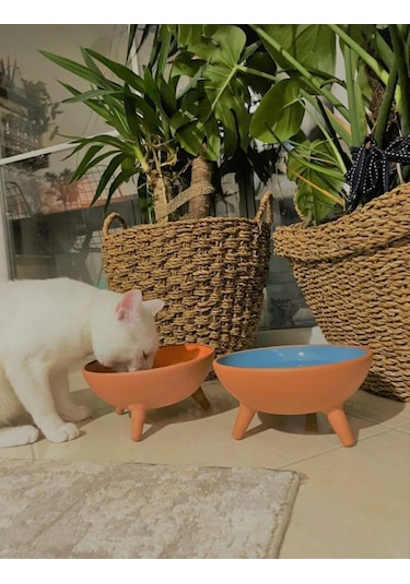 Ath Store Çömlek Kedi Köpek Mama Su Kabı Ayaklı Sırlı 2'li 20 CM
