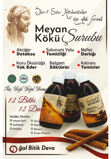 Natur'el Meyan Kökü Şurubu