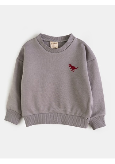 Aysbebe Dinazor Nakışlı Kışlık Çocuk Takım Unisex 2 İplik Aqua