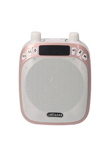 Teltree Gül Altın Ses Güçlendirici: Öğretim/tur Rehberi İçin, Bluetooth/mikrofon/tf Kart/disk/dikta Fonksiyonlu, Bel Taşıma Seti