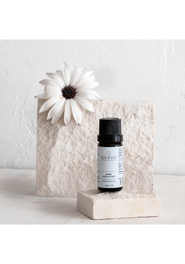 Oilwise Nane Yağı 10 ML