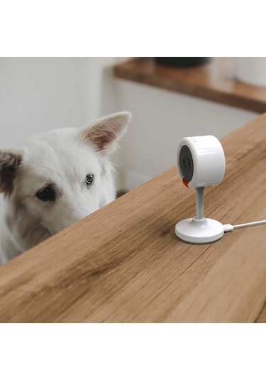 Bilicra Iris Mini 3mp Akıllı Kamera