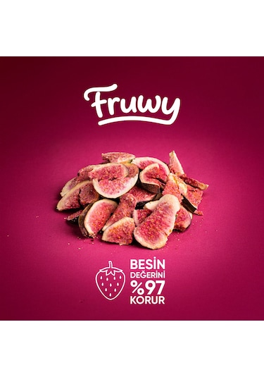 Freeze Dried İncir Diğer