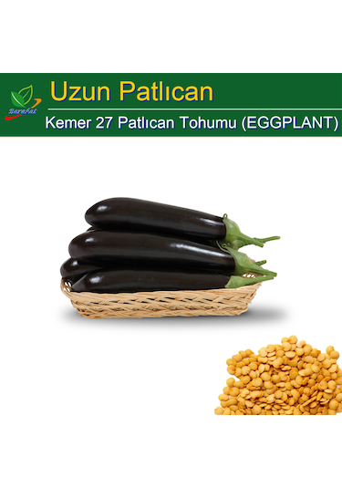 Uzun Kemer Patlıcan Tohumu 1000 Adet