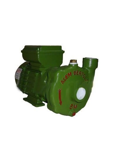 Alem Bertola Sm 0.5 Hp Monofaze Santrifüj Pompa