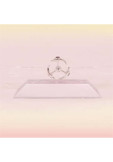 Zmc Bilişim Dekoratif Masa Üstü Obje Manyetik Kinetik Orbital Dönen Yunuslar