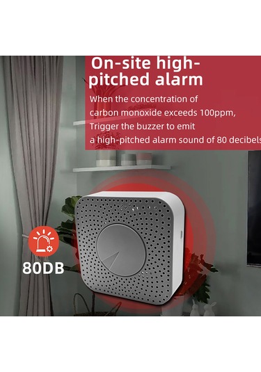 Ranyeek Tuya Wifi Akıllı Karbon Monoksit Co Algılayıcı - Gerçek Zamanlı Yoğunluk Tespiti, 80db Alarm, Usb Besleme, Uygulama Entegrasyonu