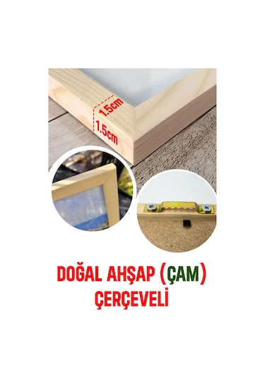 Ahşap Çerçeveli Mdf Tablo Seti Salon Ve Oturma Odası İçin Çiçekler Çt3070 32 X 42 Çok Renkli