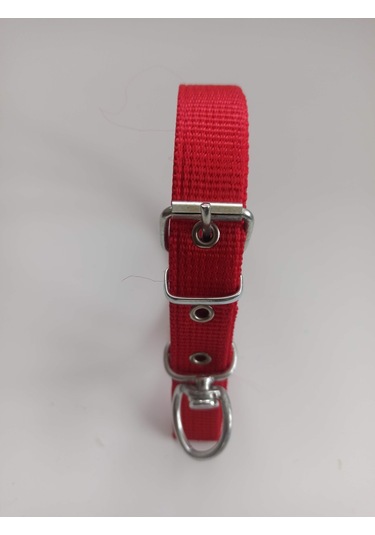 Kozaklı Küçük Irk Köpek Tasması Kırmızı 50 x 2.5 CM Kırmızı