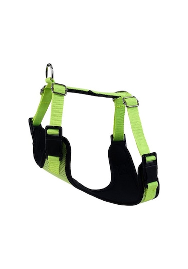 Actirex Neon Cool Köpek Göğüs Tasması Sarı M 45 x 55 CM