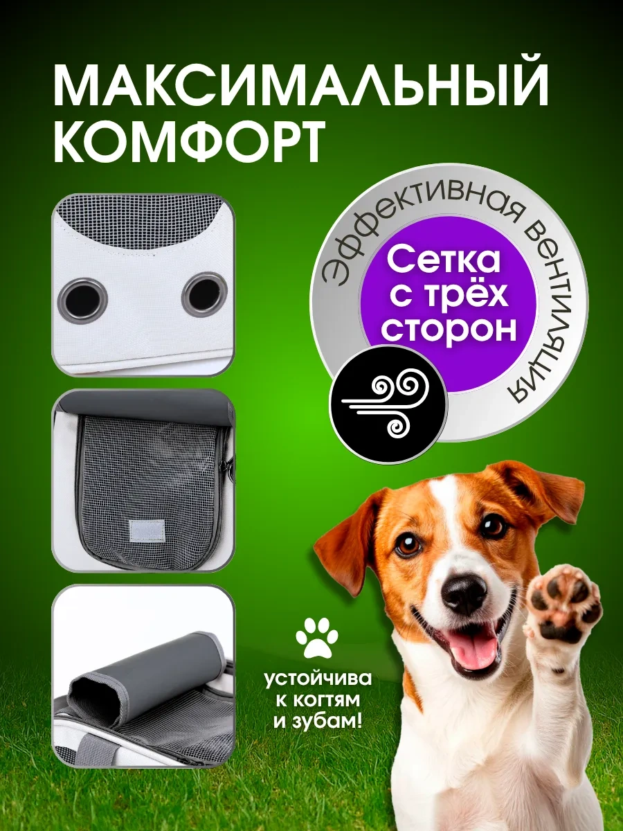 Komfort Pitomca Köpek Taşıma Çantası 475595896