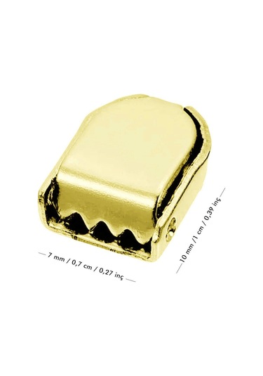 Gold Altın Renk Metal Ayakkabı Bağcık Ucu Klipsi 30 Adet