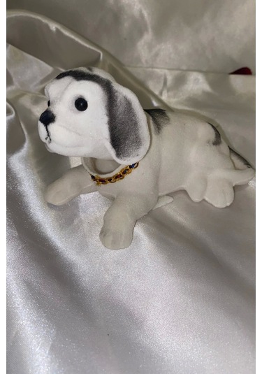 Golden Retriever Kafa Sallayan Köpek Başını Sallayan Köpek Sallanan Köpek Beyaz