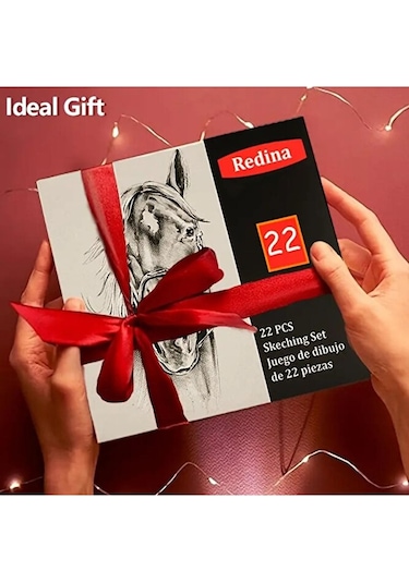 Kara Kalem Çizim Seti, Eskiz Kalem Seti, Dereceli Kalem Set, Kömür Kalem-kutulu 22 Parça