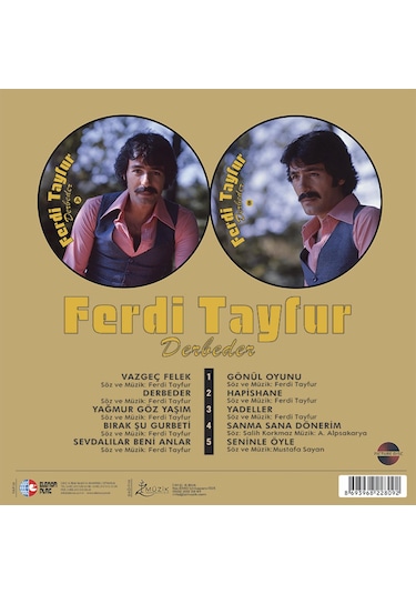 Ferdi Tayfur - Derbeder Picture Plak