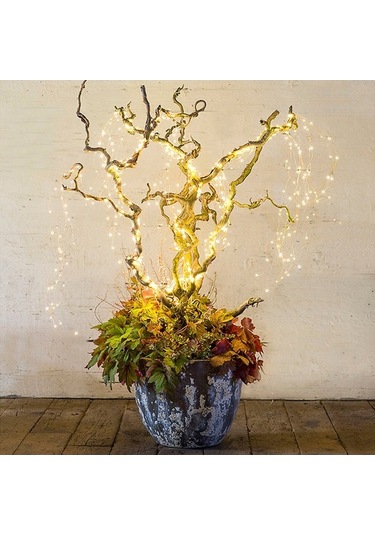 Novahub Bakır Tel Led Işık, 280 Işık 14 Dal 2m Bahçe Deko, Sıcak Beyaz Eu Fiş, Uzaktan Kumanda/güneş Enerjisi Diğer