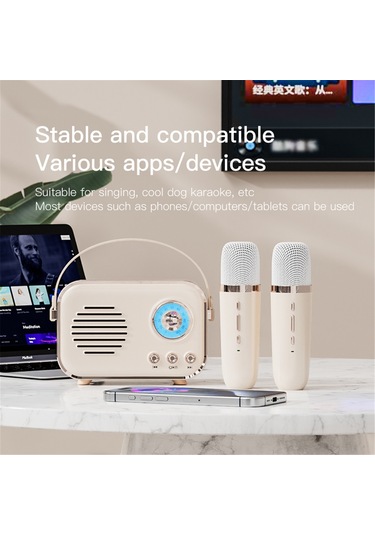 Yifomall Mini Bluetooth Hoparlör, Taşınabilir Karaoke Makinesi, Hıfı Subwoofer, Kablosuz Mıkrofon, 6 Ses Efekti, Dış Mekan Müzik Sistemi, Açık Yeşil Tek Mıkrofon