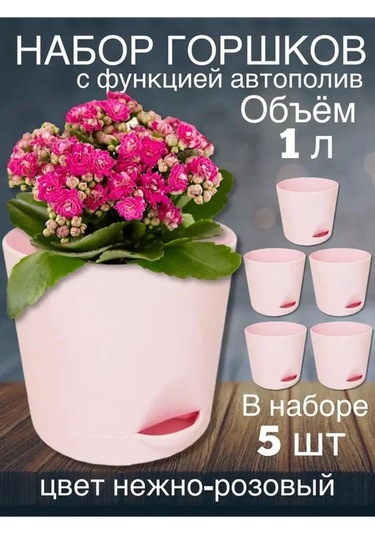 Interm Kaktüsler, Menekşeler Ve Sukulentler İçin Saksı, Otomatik Sulama Sistemi 133195521