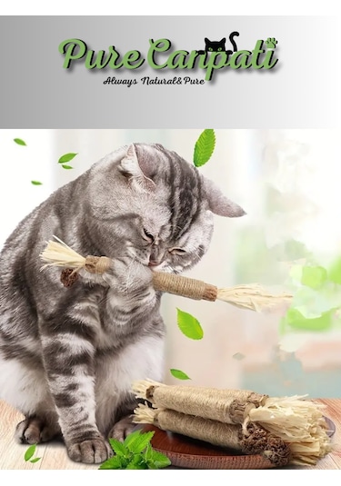 Purecanpati Matatabi Çubuğu 2 Adet