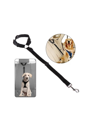 Araç İçi Kedi Köpek Emniyet Kemeri