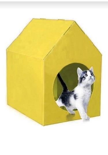 Kedi Evi Kulübesi Yuvası