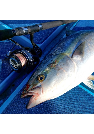 Tailwalk Stealz 14000 7+1bb Olta Makinesi