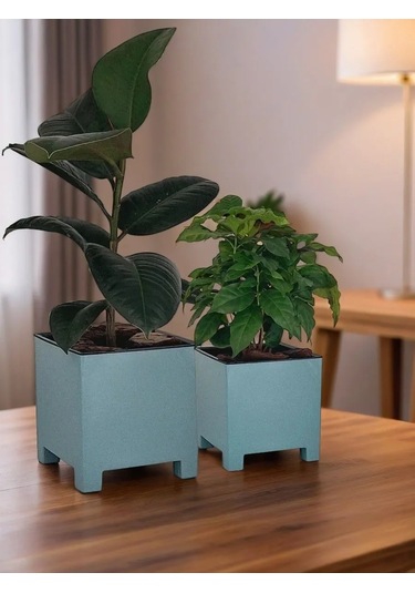 Live-in-green 2l Ve 5,5l Plastik Çiçek Saksısı S 414356145