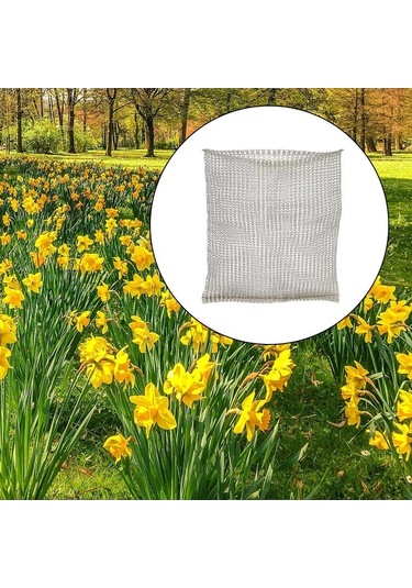 Pazly Suntek Sepetleri Paslanmaz Koruma Kökler Çelik Bitki 18x16-inç Nr