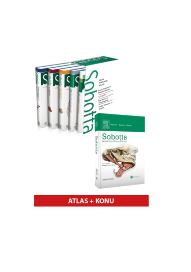 Sobotta Anatomi Atlası 4 Cilt Set 13. En Son Türkçe Baskı + Sobotta Konu Kitabı