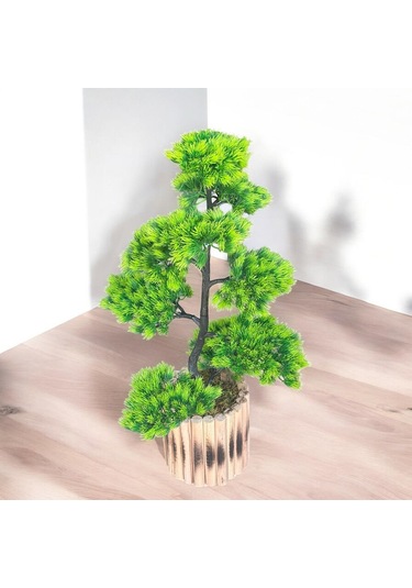 Konak Züccaciye Saksılı Bonzai Çam Ağaç Büyük 75 Cm