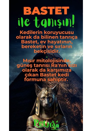 Petjoo 1.Bastet Yeşil-Turuncu Qr'lı Kedi Künyesi