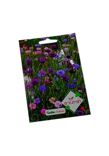 Arzuman Süs Bitki Kontur Çiçek Tohumu