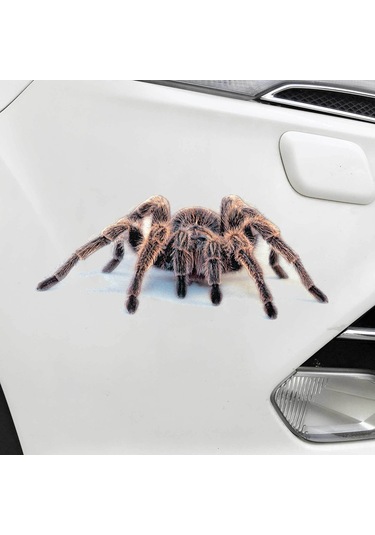 Geekyou Dayanıklı A18 Akrep Modeli Araba Sticker - Gerçekçi Simülasyonlu Hayvan Desenli Araba Dekorasyon Sticker, Kolay Kullanıma Uygun, Kompakt Ve Dayanıklı Malzeme İle Yapılmış