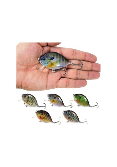 Lixada 5 Adet Abs Yem Seti - Canlı Görünümlü Desenler, Titrek Top, İki Çiftli İğneler Ve Şeffaf Depo Kutusu - Çok Renkli