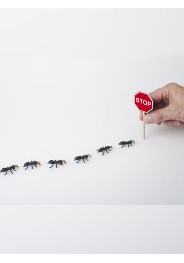 Karınca Ve Haşere Kovucu İlaç 5 Litre