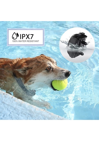 Zilinn 3000ft Köpek Şok Tasması, Su Geçirmez Ve Şarj Edilebilir Evcil Hayvan Eğitmeni