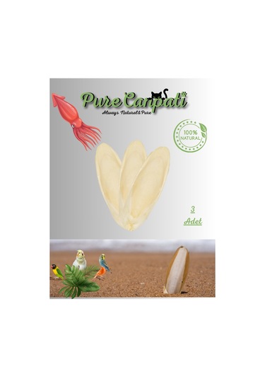 Purecanpati Mürekkep Balığı Kemiği Kalamar Mini Boy 3 Adet Ve T