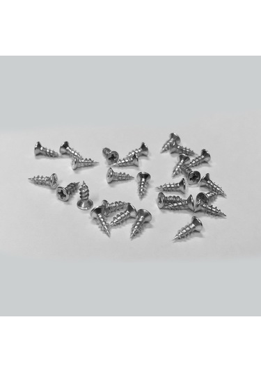 100 Adet 6,5 mm Mini Hobi Vidası Nikel