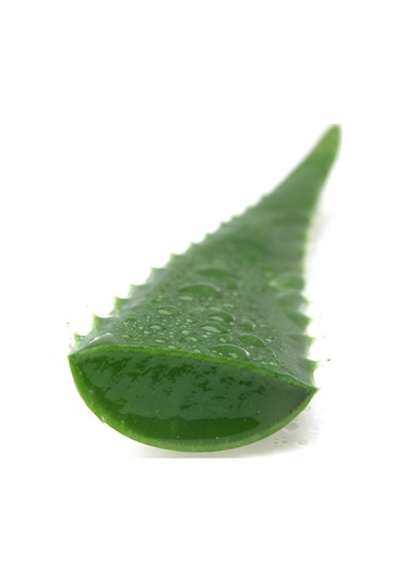 Mengü Şifa Aloe Vera Yüz ve Cilt Yağı 50 ML