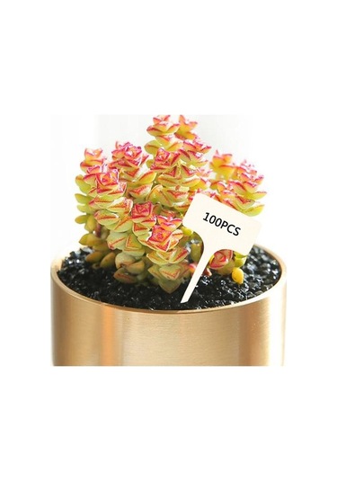 Trendooze Homyl 50 Adet T-şekilli Bitki Etiketi, Saksı Ekici