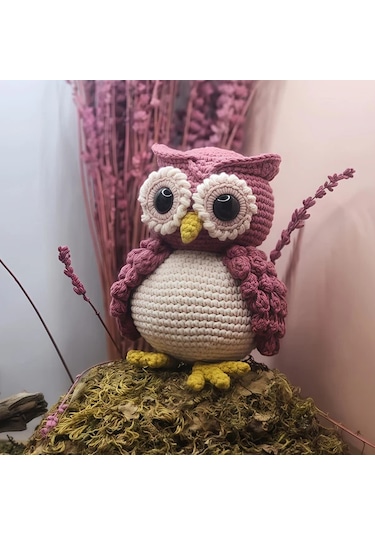 Oldfriend Döner Başlı Beyaz Kahverengi Mavi Pembe Baykuş Tığ İşi Kiti Yapım Seti