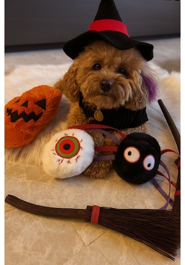 Havhav Halloween Temalı Köpek Oyuncak  Seti