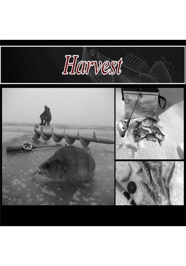 Kış Buz Olta Üst 20 Parça Cw 0.1-1.4g Mini Olta Taşınabilir Mücadele 100mm-180mm Buz Olta Takımı