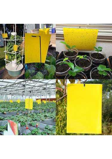 Homyl 10/20/30 Çift Taraflı Yapışkan Sivrisinek Tuzakları 20-adet