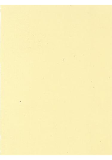 Wagner Boya Innenfarbe Silikonlu Iç Cephe Boyası 7,5 Lt